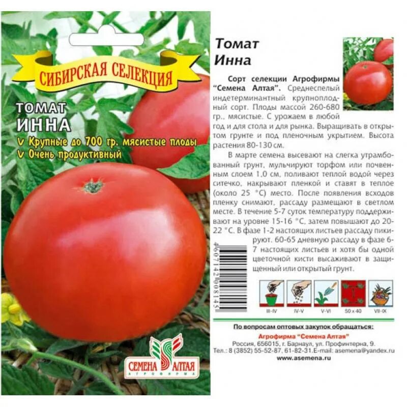 Томаты королевич отзывы фото