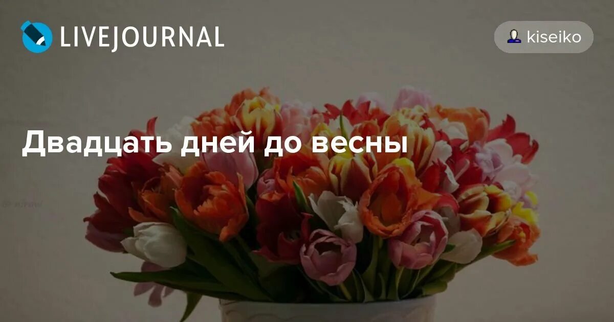 Десять дней до весны краткое содержание. 20 Дней до весны. До весны осталось 20 дней. 9 Дней до весны. 20 Дней до весны картинки.