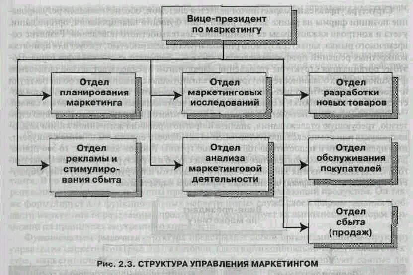 Управление отделом маркетинга. Отдел ценового маркетинга. Деятельность отдела маркетинга. Структура департамента маркетинга. Должности в отделе маркетинга