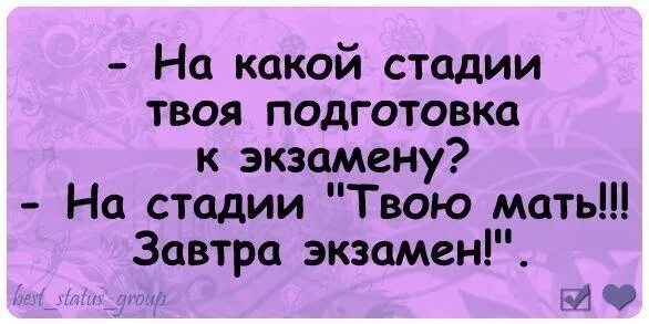 Завтра экзамен прикол. Статусы про экзамены прикольные. Статус завтра экзамен. Завтра экзамен картинки смешные. Экзамены сдала статус