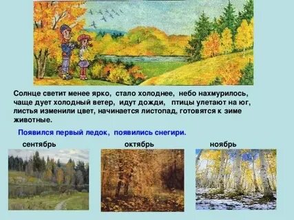 Осень лесная дорога дует холодный ветер желтый