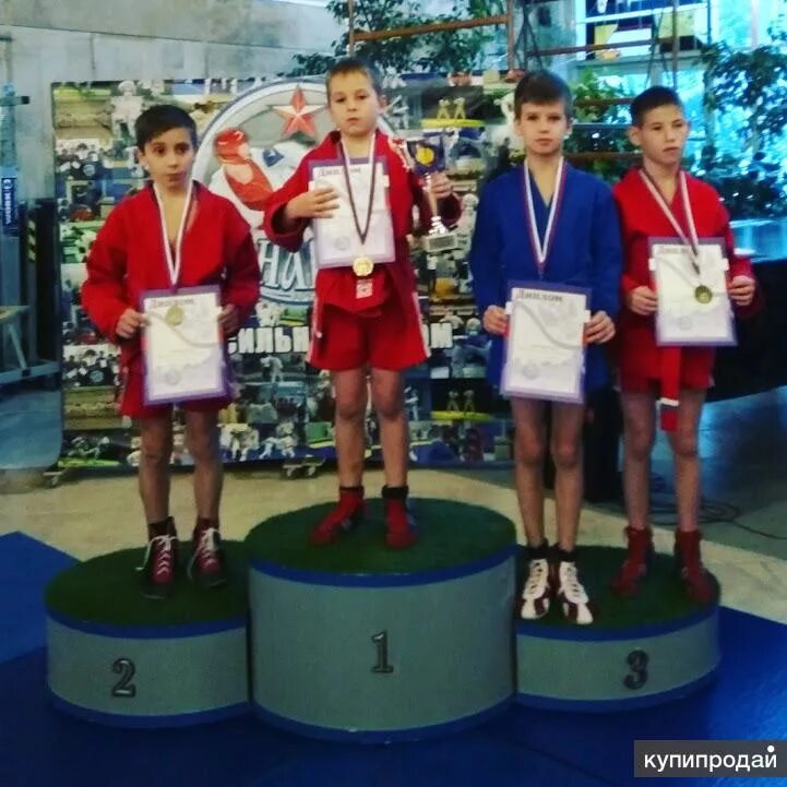Школа самбо медведь. Спорткомплекс медведь курган. Школа самбо экра чебоксары. Школа самбо медведь. Клуб самбо 3 медведя москва фото.