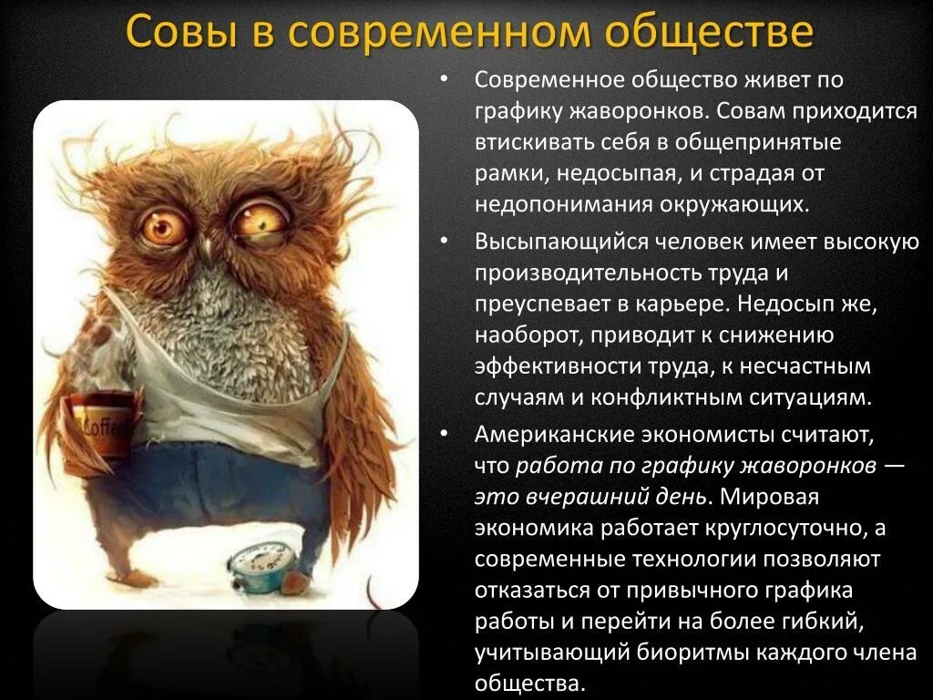 Человек сова как называется. Биоритм сова. человек сова. биоритмы совы жаворонки голуби. люди совы характеристика.