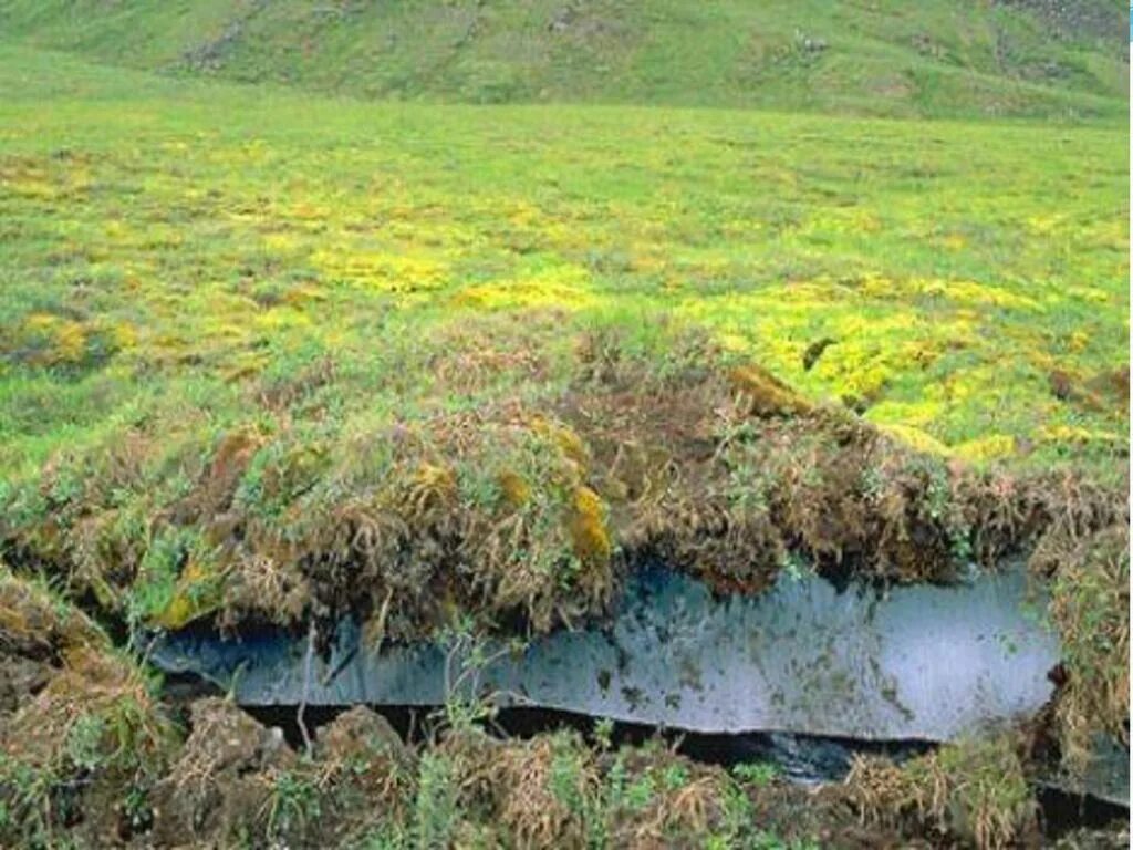 Вечная мерзлота Арктика. Мерзлота в тундре. Вечная мерзлота грунт. Оттаивание вечной мерзлоты.