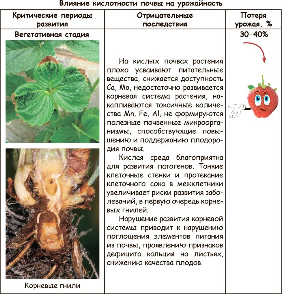 Земляника какая почва. Влияние кислотности почвы на растения. Кислотность почвы для клубники. PH кислотность почвы для клубники. PH почвы для земляники.