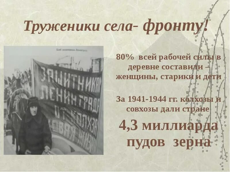 Труженики староминской. Труженики староминской. Труженики староминской. Староминская новости. Труженики староминской.