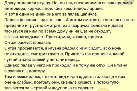 Анекдот про подарили