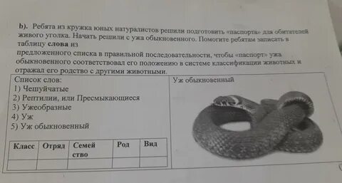 Натуралистов огэ