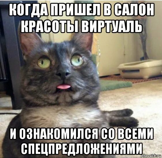 Коты мемы: чипи чапа кликер (от nick0124) - играть онлайн бесплатно на сервисе Я