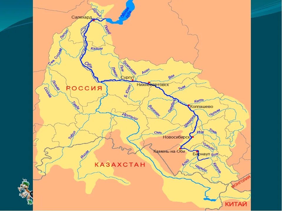 В какую сторону течет река урал. Бассейн реки Иртыш. Река Обь на карте. Бассейн реки Обь. Бассейн реки Иртыш на карте.