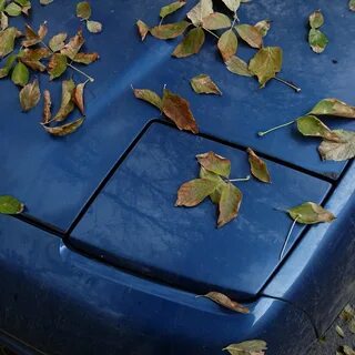 Leave car