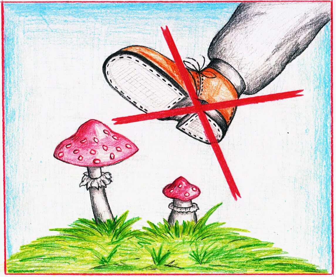 Знак нельзя собирать грибы. Рисунок берегите растения. Рисунок на тему бережное отношение к природе. Плакат берегите растения. Охрана растений рисунок.