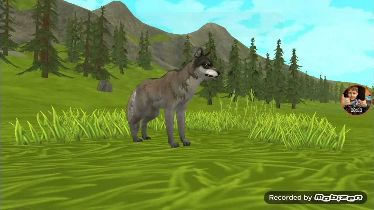 Игра волчья жизнь wildcraft. Wildcraft симулятор зверей. Wildcraft питомец. Симулятор волка wildcraft. Игру вилд крафт симулятор жизни животных.