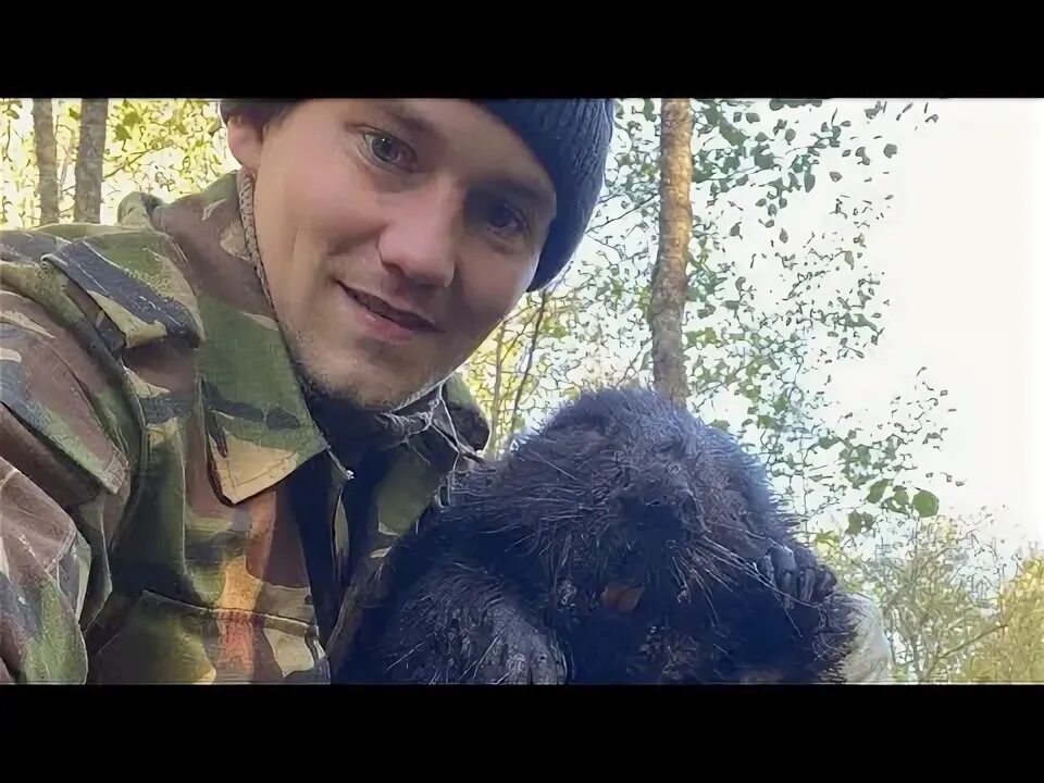 Мод на бобра. Приманка на бобра замануха. приманка трап для бобра. приманка на бобра beaver creek.
