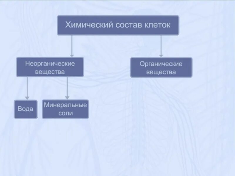 Химический состав клетки. Химический состав клетки 10 класс биология. Химические вещества клетки таблица. Химия клетки 10 класс. Организация вещества клетки