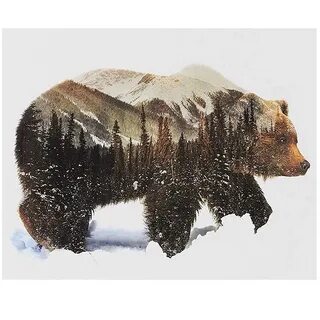Номер медведь