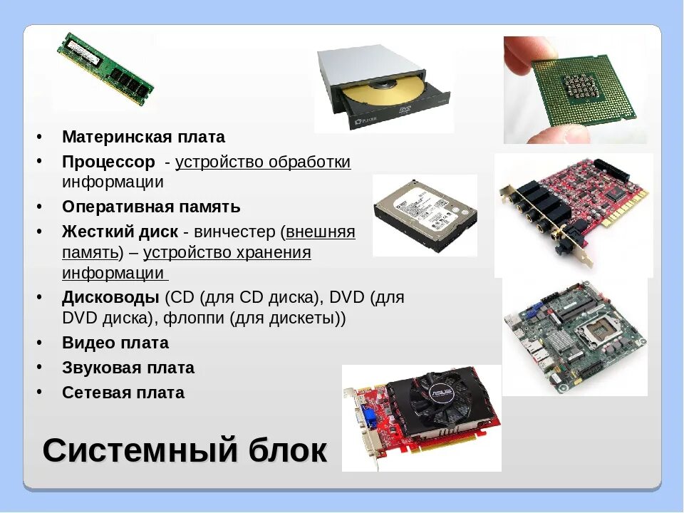 Обработка информации центральным процессором. Видеокарта оперативная память процессор жёсткий диск. жесткий диск, видеокарта, процессор, материнская плата. процессор устройство хранения информации. процессор это устройство хранения.