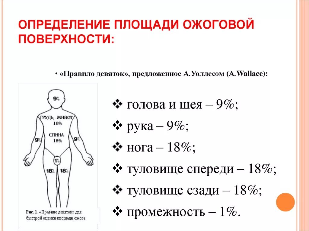 Площадь поражения при ожогах. Расчет площади поражения ожога. Методы оценки площади ожога. Определение площади ожоговой поверхности.