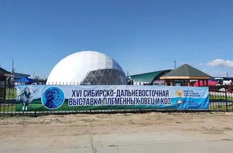 Сибирский дальневосточный