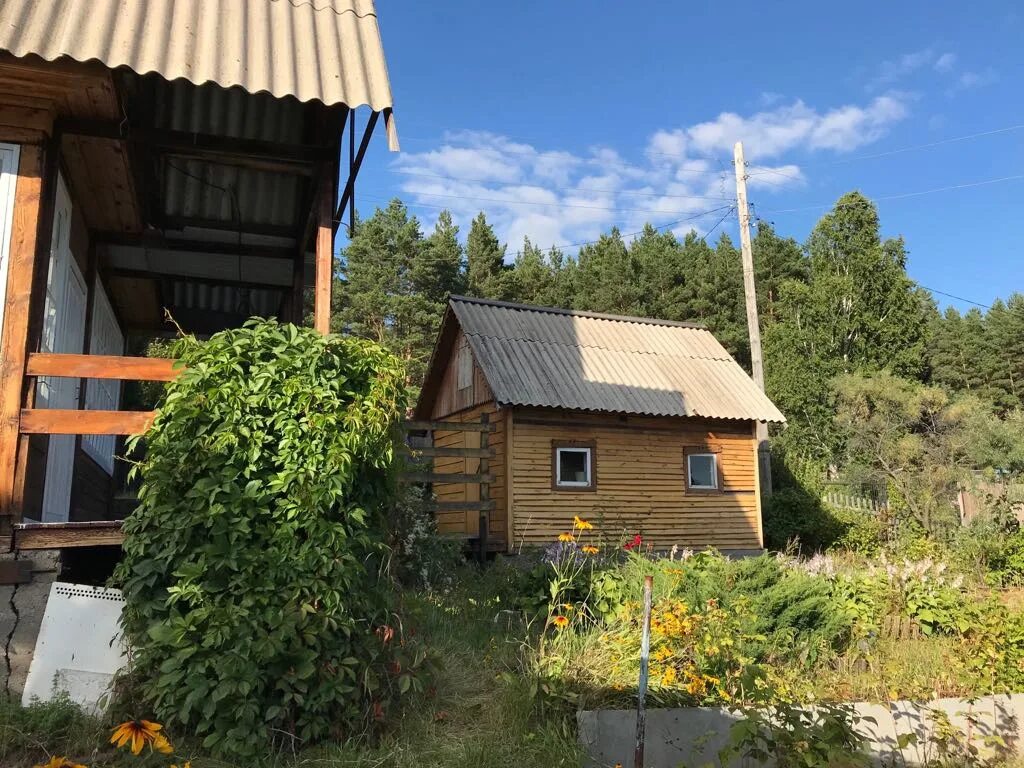 Плотниково (Новосибирский район). Дача Плотниково. Дача Заринка в Плотниково. Дача Плотниково в Новосибирске. Погода в плотниково новосибирская