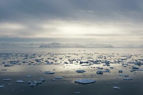 Северное полярное море