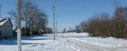 Погода кобылки