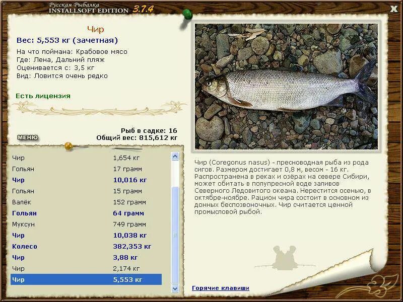 Обыкновенный валек my fishing world. My fishing world на что ловить. Какая рыба водится в байкале. Рыбалка 3 байкал. Омуль баргузинский рр3.