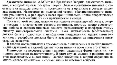 Теория адекватного