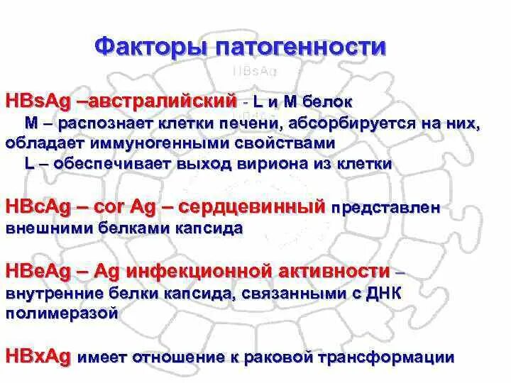 К какой группе патогенности отнесен ковид. Факторы патогенности вируса гепатита а. Гепатит б факторы патогенности. Факторы патогенности ВИЧ. Возбудители вирусных гепатитов факторы патогенности.