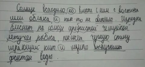 Далеко от берега вода зеленая основа предложения