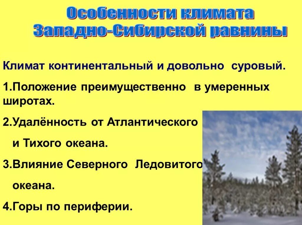 Природа западной сибири 9 класс география. Климат Западно сибирской равнины. Особенности Западно сибирской равнины. Западно Сибирская равнина особенности природы презентация. Особенности климата Западно сибирской равнины.