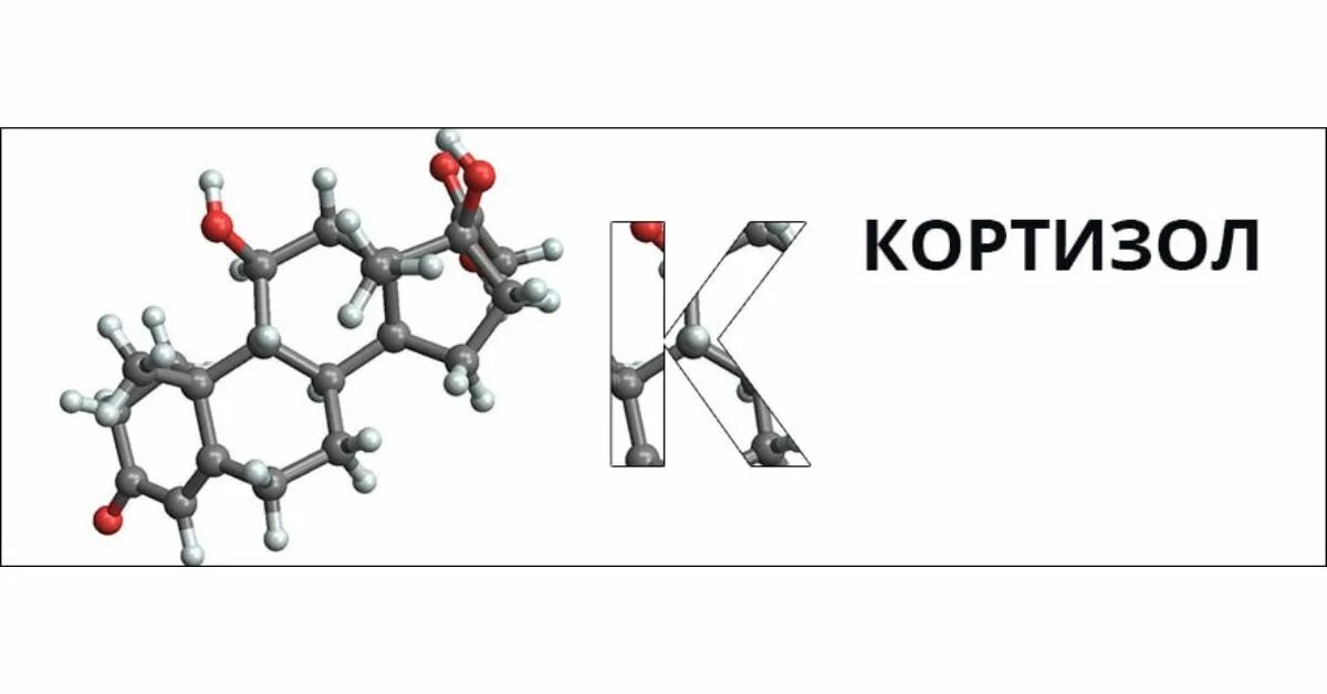 Суточные колебания кортизола. Схема влияния кортизола. Суточный ритм актг. Пики кортизола. Кортизол.