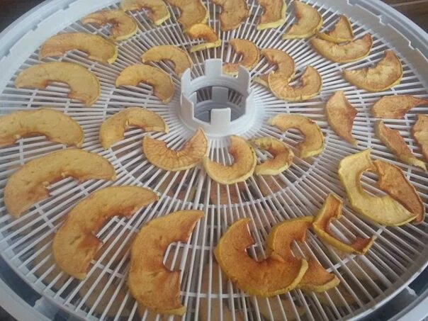 Сушка мяты в электросушилке. Электросушилка для яблок. Сушка яблок на зиму. Сушилка для яблок. Сушка яблок.