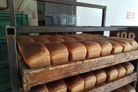 Сельское хозяйство хлеб