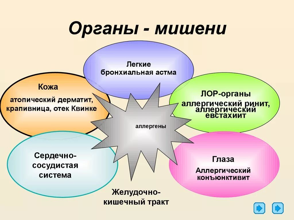 Какой орган отвечает за аллергию. Презентация по аллергии. органы мишени аллергии. органы мишени при пищевой аллергии.