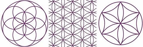 Как нарисовать цветок жизни сакральная геометрия - Basanova.ru