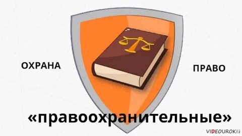 Взаимодействие охраны с правоохранительными органами