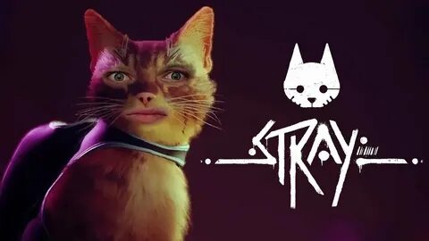 Стрей 2