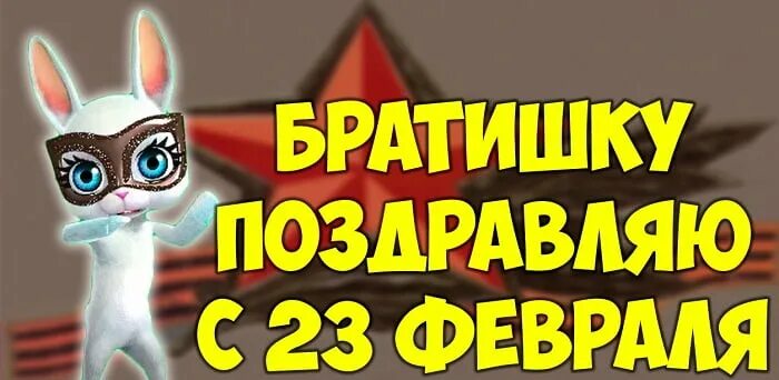 С 23 февраля братику от сестры