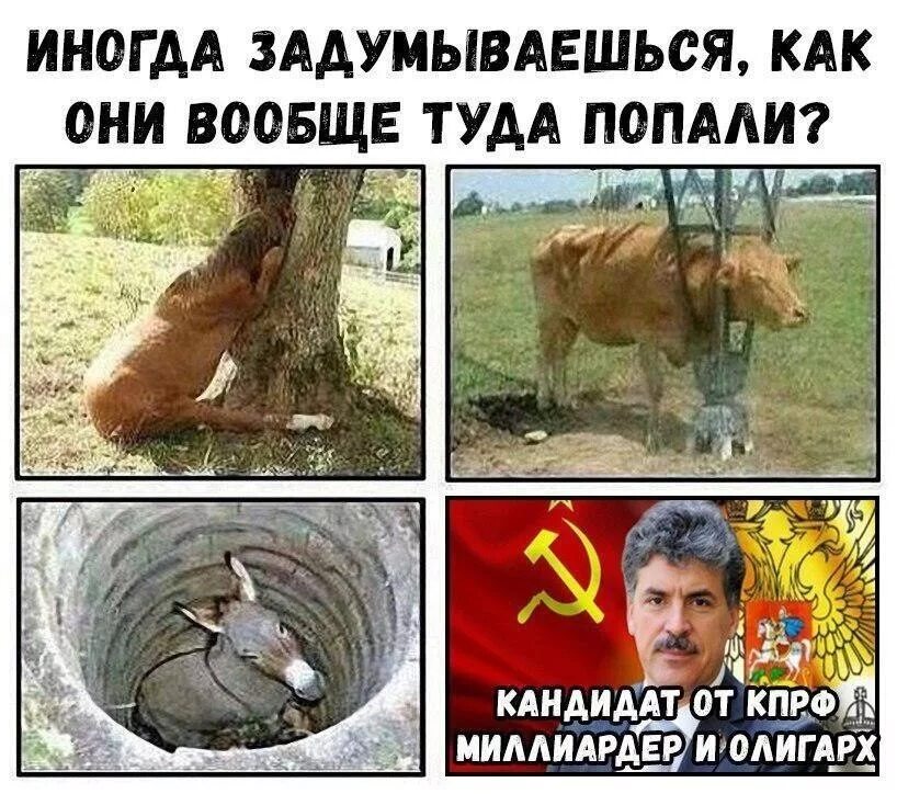 мемы попал. они попали туда. смотришь и не понимаешь как они туда попали. как они здесь оказались. ты туда не ходи там тебя ждут неприятности.