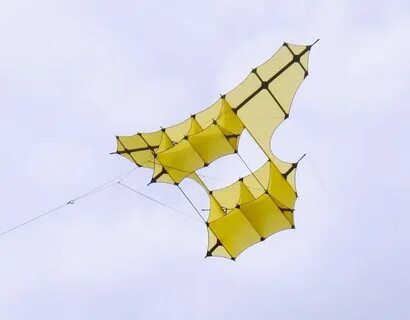 Go fly s