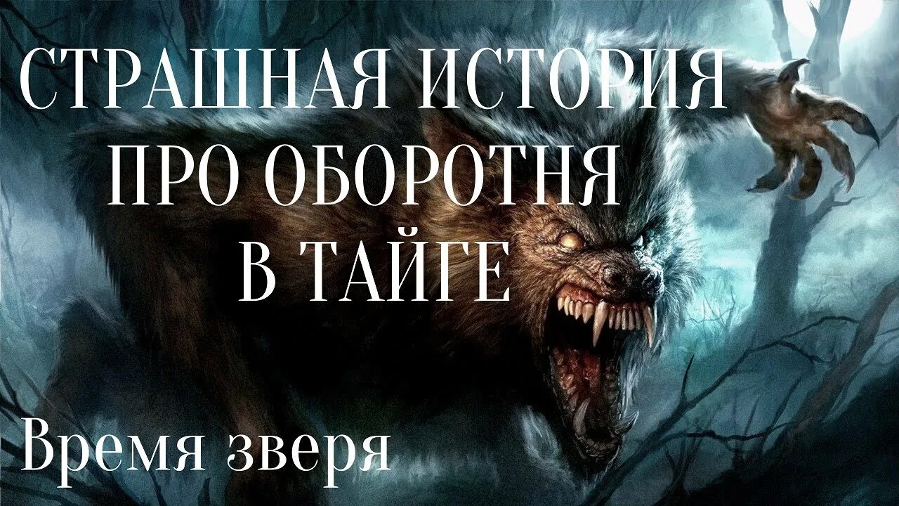 Истории про оборотней слушать. Страшные истории про оборотней. страшные рассказы про тайгу. тайга страшные истории.