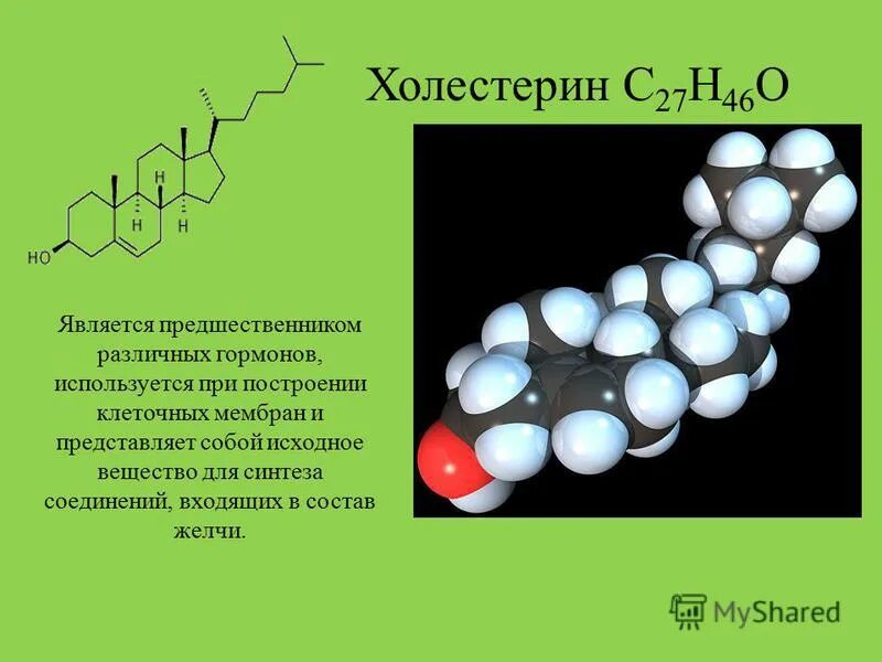 Вопросы по теме молекулы. Молекулы различных веществ. Вопросы по теме молекулы. 5 пословиц по физике на тему молекулы. Молекулы и атомы физика 7 класс.