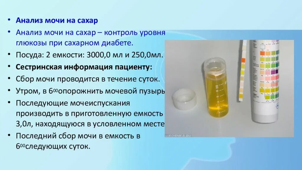 Сахарный диабет тест мочи. Оснащение для проведения анализа мочи на сахар:. Техника сбора мочи на сахар алгоритм выполнения. Сбор мочи для исследования Глюкозы алгоритм. Исследование суточной мочи на глюкозу.