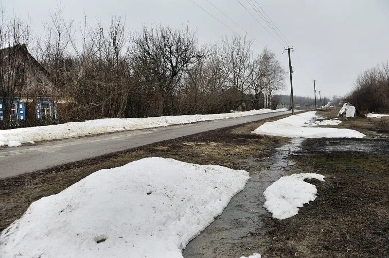Погода юдино подгоренский почасово. Погода юдино подгоренский почасово. Погода юдино подгоренский почасово. Село белогорье воронежская область. Погода юдино подгоренский почасово.