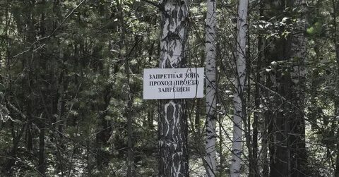 Восточно уральский