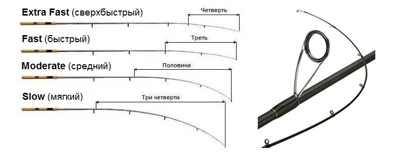 Строй fast. Extra fast Строй спиннинга. Regular fast Строй спиннинга. Medium fast Строй удилища. Строй удилища спиннинг таблица.
