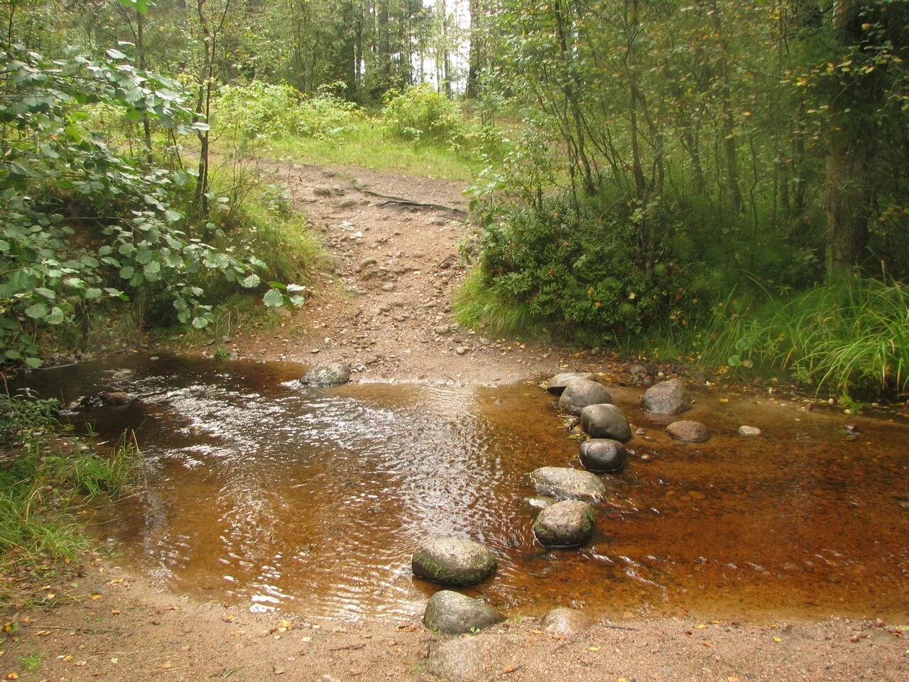 родники дорога. горкино родники. язвище московская область родник. родники дорога. родники дорога.