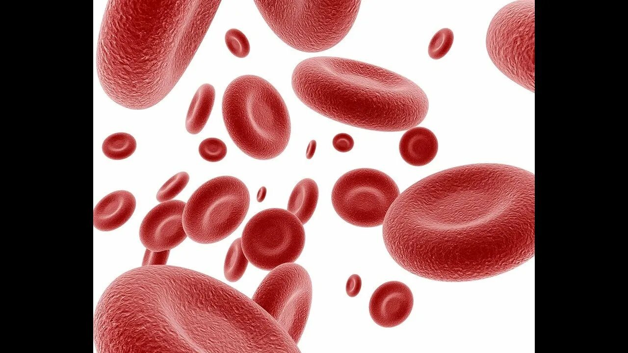 Низкий гемоглобин какой врач. Кровяные тельца. Красные кровяные тельца. Гемоглобин вектор. Мед гемоглобин.
