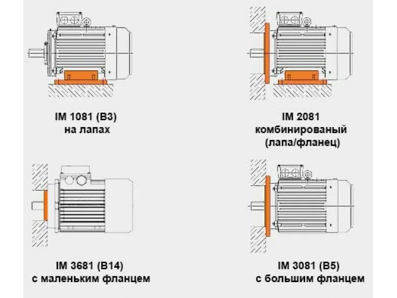 Im двигателей. Im2001 монтажное исполнение электродвигателя. Im1081 монтажное исполнение электродвигателя. Электродвигатель исполнения im3011. Im3281 монтажное исполнение электродвигателя.